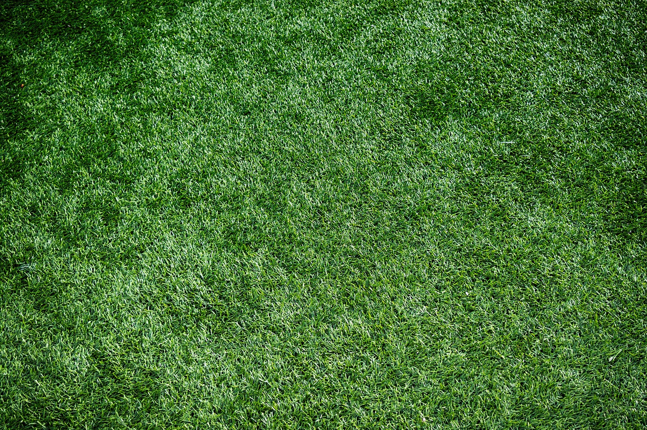 3 wskazówki, jak wydłużyć żywotność sztucznej trawy